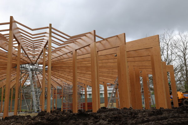 Perimeter timber structure