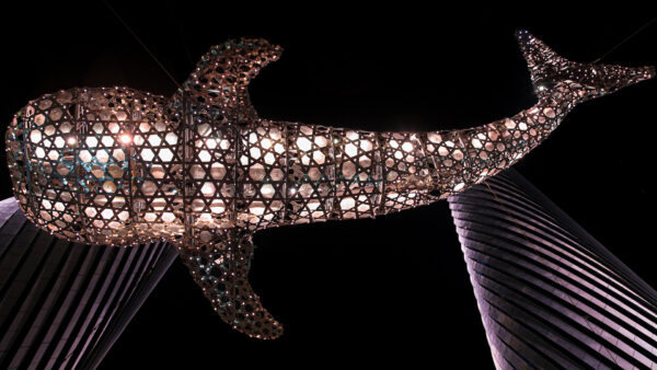 Photo of Whale Shark metal sculpture suspended mid air in Qatar