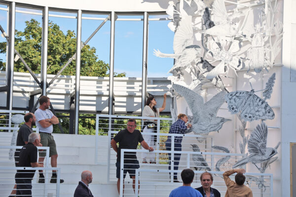 Clients inspecting a test build structure